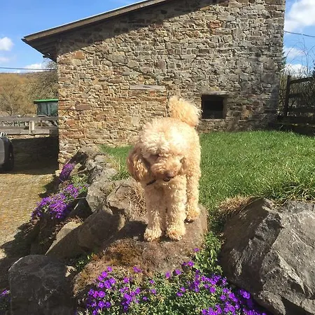 Lägenhet Schloessershof *