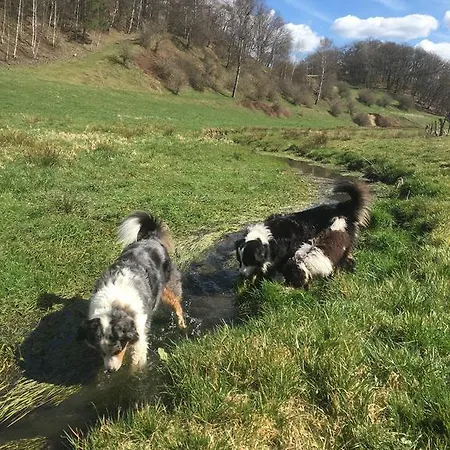 Schloessershof * Borler