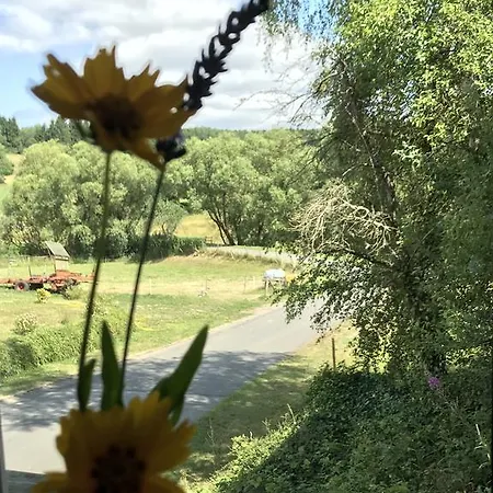 Schloessershof Apartman