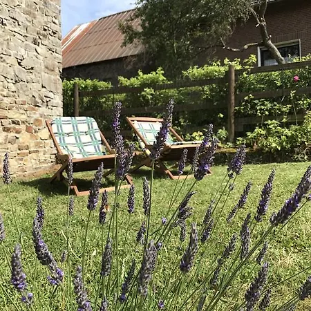 Schloessershof Apartman *